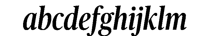 Publico Headline Condensed Medium Italic FONT