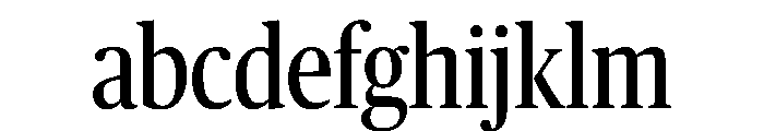 Publico Headline Condensed Roman FONT