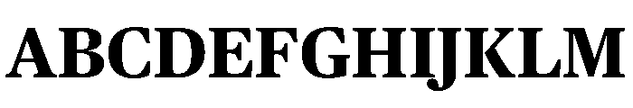 Publico Text Bold Font UPPERCASE