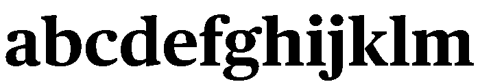 Publico Text Bold FONT