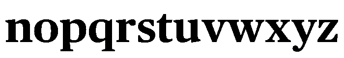 Publico Text Bold Font LOWERCASE