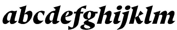 Punta BlackItalic FONT