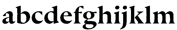 Punta Bold FONT
