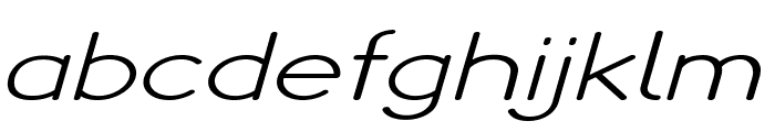 Puppy-ExtraexpandedItalic Font LOWERCASE