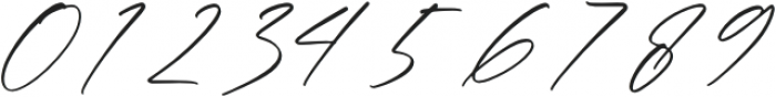 Qalisha Signature Script otf (400) Font OTHER CHARS