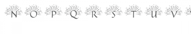 qfd heart fireworks monogram font Font UPPERCASE