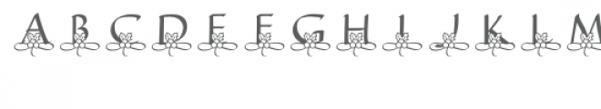 qfd holly flourish monogram font Font LOWERCASE