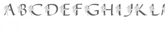 qfd rosebud monogram font Font UPPERCASE