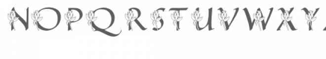 qfd rosebud monogram font Font LOWERCASE