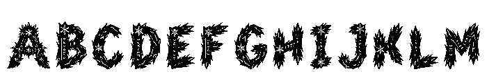 Quaren Regular FONT