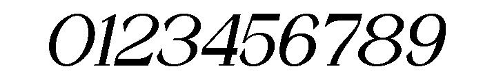 Quinela Light Italic Font OTHER CHARS