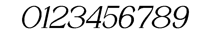 Quinela Thin Italic Font OTHER CHARS