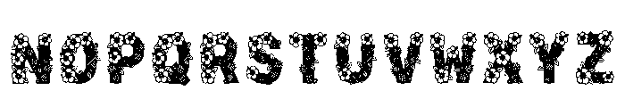 Quirin Regular Font UPPERCASE