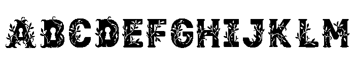 Quivon Regular Font UPPERCASE