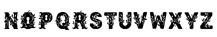 Quivon Regular Font UPPERCASE