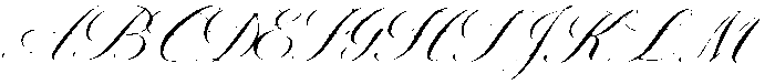 Quiet Luxury Script otf (400) Font UPPERCASE