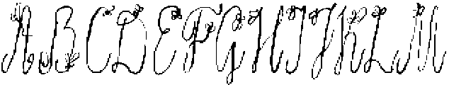Quiet Wild Script Regular otf (400) Font UPPERCASE