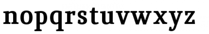 Quiroga Serif Pro Bold Font LOWERCASE