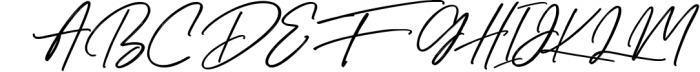 Queen Sheila Signature Script Font Font UPPERCASE