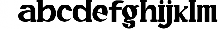 Quride - Display Serif Font Font LOWERCASE