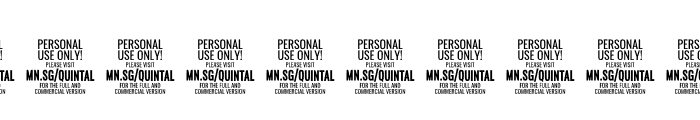 Quintal Script PERSONAL USE ONLY Bold Font OTHER CHARS