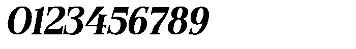 Quarter Theory Cntr Italic Font OTHER CHARS