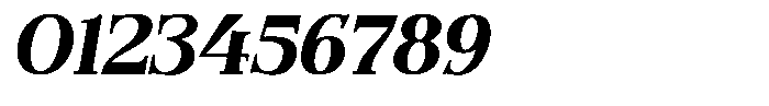 Quarter Theory Cntr Semi Expanded Italic Font OTHER CHARS