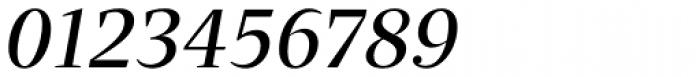 Quercus Serif Italic Font OTHER CHARS