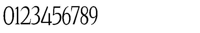 Quinget Variable Quinget Condensed Font OTHER CHARS