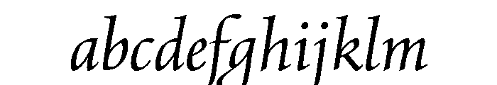 Quatern Book Italic FONT