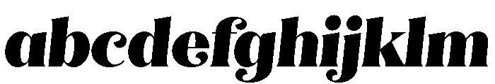 Quiche Flare Black Italic FONT