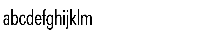 R41 Recta Condensed Book FONT