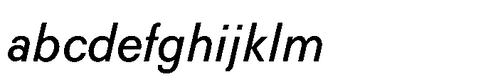 R41 Recta Italic FONT