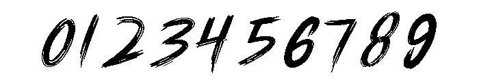RAIZE Brush Font OTHER CHARS