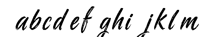 RAIZE Brush FONT