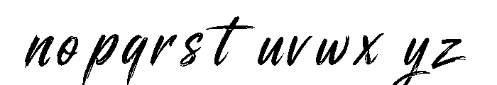 RAIZE Brush Font LOWERCASE