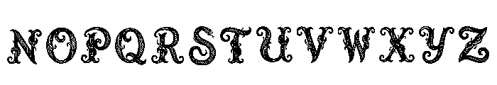 Rashid Regular Font LOWERCASE