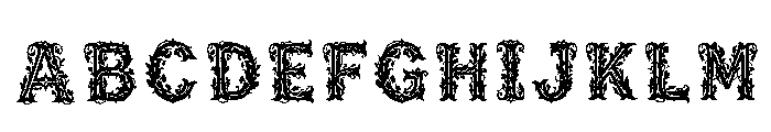 Ray Regular FONT