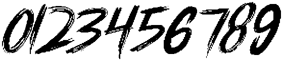 RAIZE Brush otf (400) Font OTHER CHARS