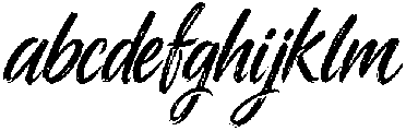 RAIZE Brush otf (400) FONT
