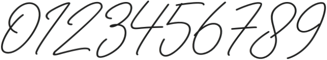 Radhion Signature otf (400) Font OTHER CHARS