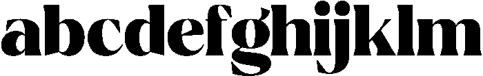 Ragmont Variable Black ttf (900) FONT