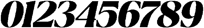 Ragmont Variable Italic Black Italic ttf (900) Font OTHER CHARS