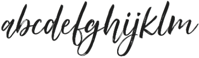 Raidemith Script Regular otf (400) Font LOWERCASE