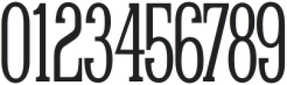 Raiden Bold Condensed otf (700) Font OTHER CHARS