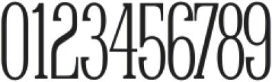 Raiden Medium Condensed otf (500) Font OTHER CHARS