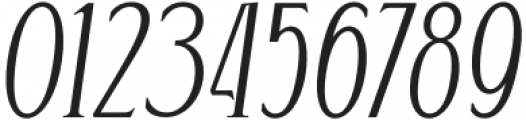 Rakushi-Oblique otf (400) Font OTHER CHARS