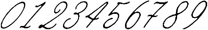 Ramblin Rose Script Light Slant otf (300) Font OTHER CHARS