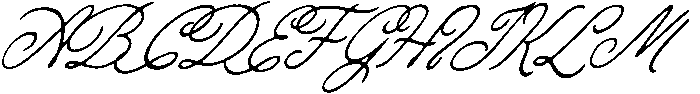Ramblin Rose Script Light Slant otf (300) Font UPPERCASE