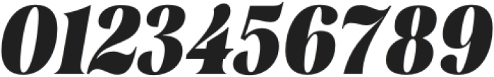 Rasbern Black Italic otf (900) Font OTHER CHARS
